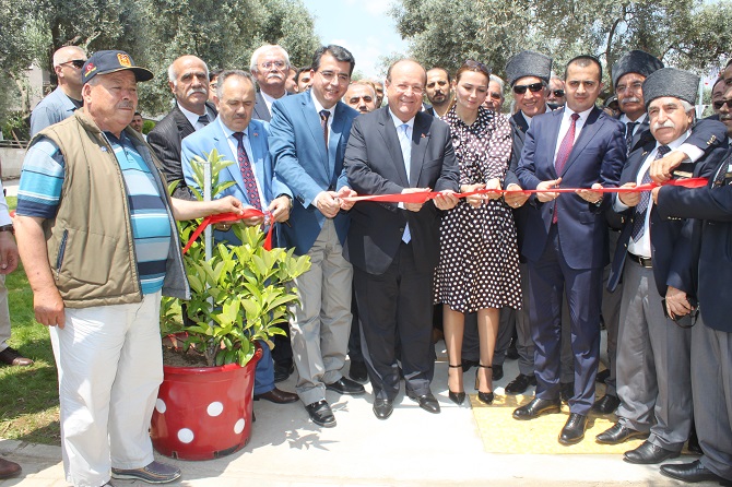 058-001.jpg 058-001.jpg