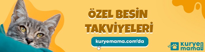 aydin24yatay-banner-14.jpg