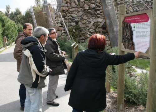 CITES BELGESİ OLMAYAN HAYVANLAR ALINMIYOR