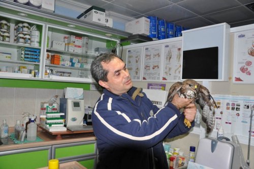 DİDİM ESRA KARAKAYA ANADOLU LİSESİ,  KUŞLARI AVRUPA’DA GÖZLEMLEYECEK