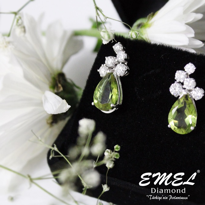 emel-13-44-2798-1477637237-002.jpg