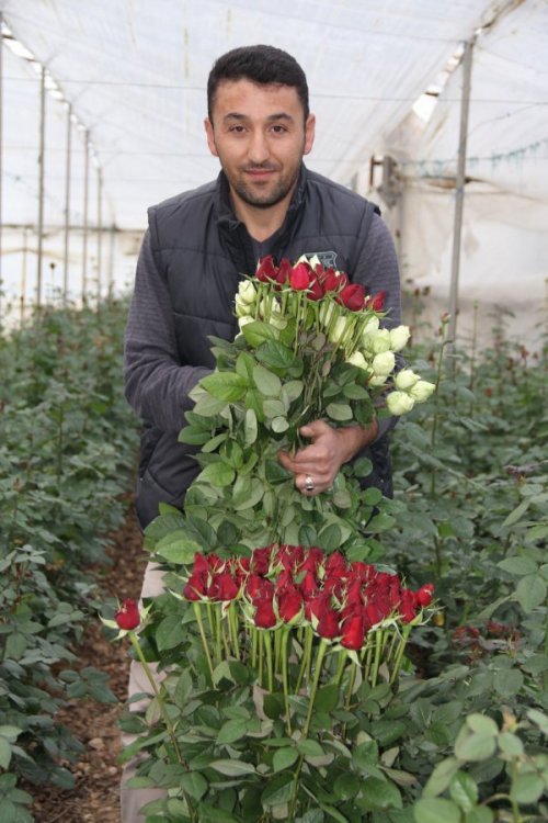 GÜL ÜRETİCİLERİ ÜZGÜN