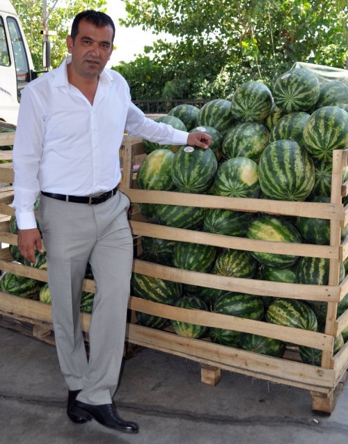 KARPUZ FİYATLARI YÜKSELECEK