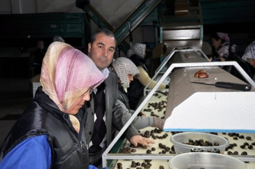 KESTANE SINIRLARI AŞTI