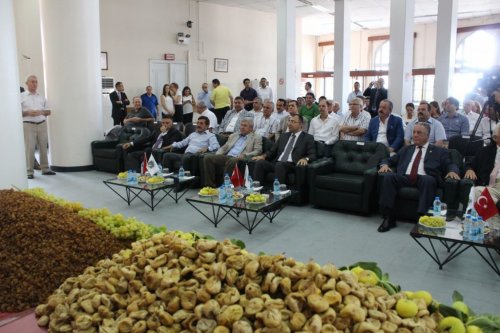 KURU ÜZÜM VE KURU İNCİR İHRACAT GELİRİ 700 MİLYON DOLARI BULDU