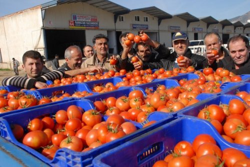 (ÖZEL HABER) İSTANBUL'DA KİLOSU 8 TL FETHİYE'DE KASASI 1 TL