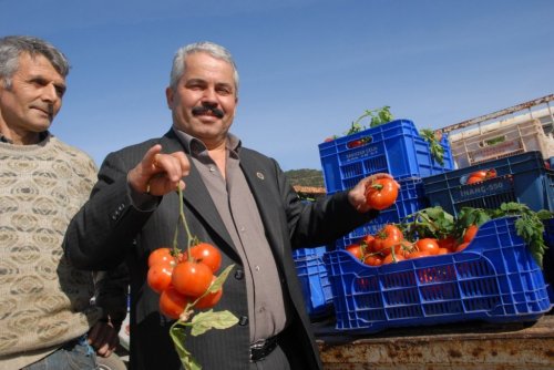 (ÖZEL HABER) İSTANBUL'DA KİLOSU 8 TL FETHİYE'DE KASASI 1 TL