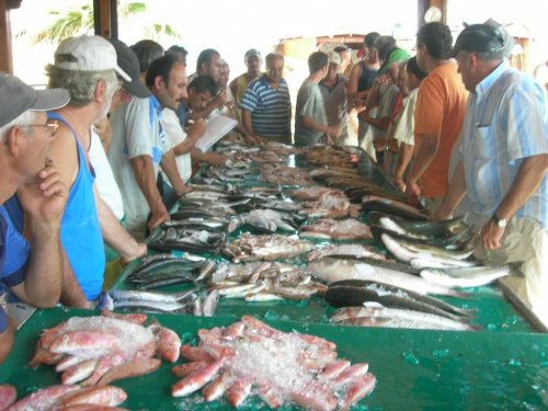 (ÖZEL HABER) RAMAZAN'DA BALIK FİYATLARINDA DÜŞÜŞ VAR
