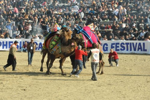 (ÖZEL HABER) TURİSTLER İÇİN FESTİVAL BAHANE EĞLENCE ŞAHANE