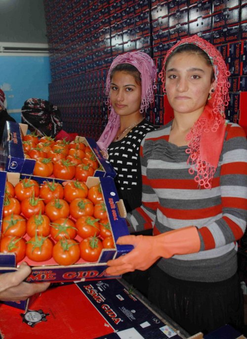 RUBLE FETHİYELİ İHRACATÇILARI DA VURDU