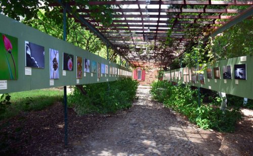 SAKIZ ADASI'NDA EGZOTİK SERGİ