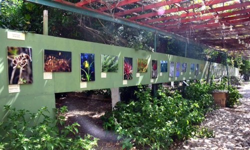 SAKIZ ADASI'NDA EGZOTİK SERGİ