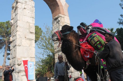 SELÇUK EFES DEVE GÜREŞLERİ DERNEĞİ HİZMETE GİRDİ