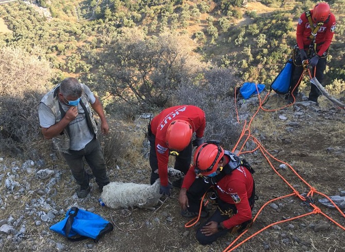 sokede-bir-haftadir-mahsur-kalan-koyunu-akut-kurtardi-003.jpg