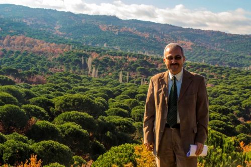 TÜRKİYE'NİN ÇAM FISTIK ÜRETİMİNİN YÜZDE 80'İNİ, DÜNYA ÜRETİMİNİN DE YÜZDE 10'UNU BERGAMA KARŞILIYOR