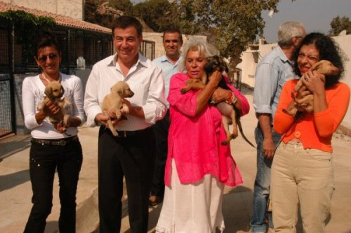 ÜNLÜ SANATÇI ULUERER YOĞUN BAKIMDA