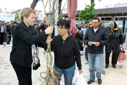 URLA BELEDİYESİ “DAHA YEŞİL BİR URLA İÇİN” FİDAN DAĞITTI